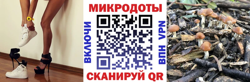 МЕГА   Северобайкальск  Галлюциногенные грибы MAGIC MUSHROOMS  купить наркотик 